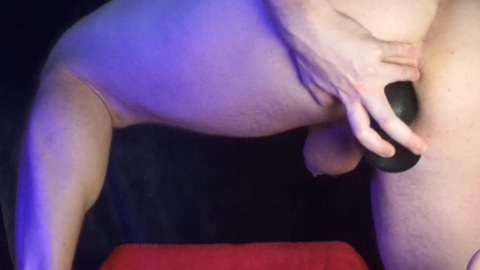 bigtoybear  15-01-2023